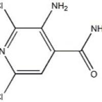 1263378-64-8/4 - 吡啶甲酰胺,3 - 氨基-2,6 - 二氯