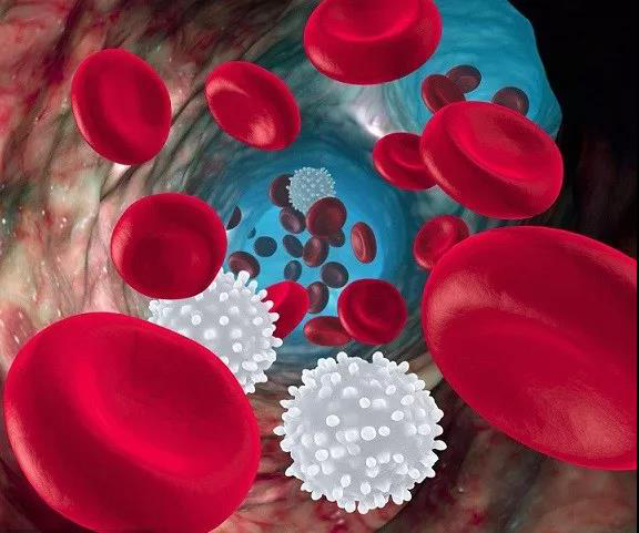 扒一扒白细胞介素（Interleukin）的家族秘密（一）