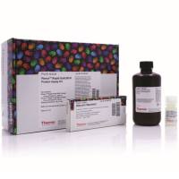 Pierce™ Rapid Gold BCA 蛋白定量试剂盒