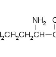 14975-30-5/ L-精氨酰胺二盐酸, 98%