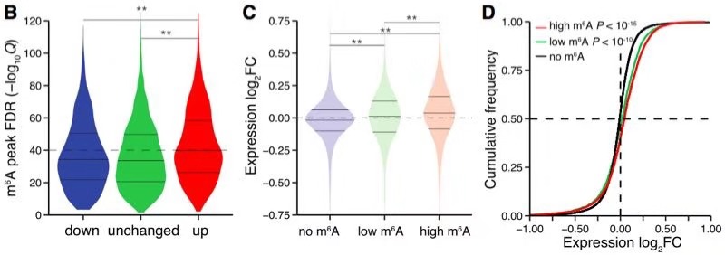产品细节图片10