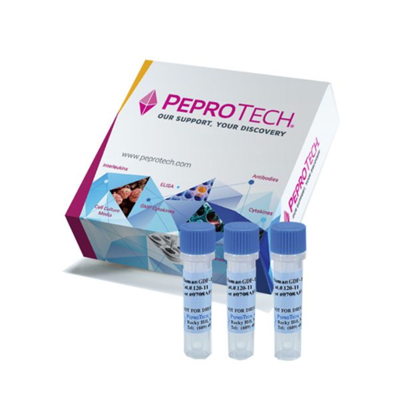 PeproTech AF-100-15Animal-Free Recombinant Human EGF 人EGF ，有助表皮细胞和上皮细胞增殖