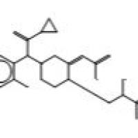 239466-86-5/R-119251 (Prasugrel Metabolite) (Mixture of Diastereoisomers)