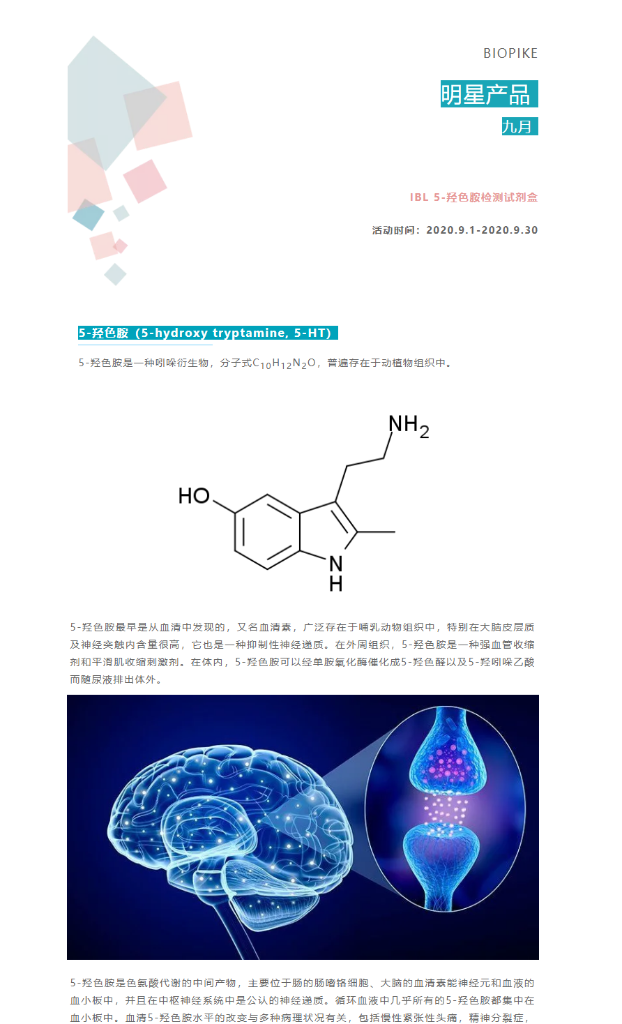 【九月明星产品促销】IBL 5-羟色胺检测试剂盒