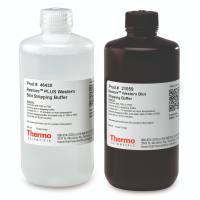 Restore抗体剥离液