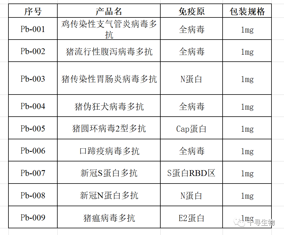 千寻生物多抗（兔源）产品上新