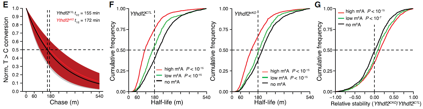 产品细节图片11