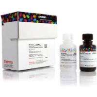 SuperSignal™ West Atto 极敏化学发光底物