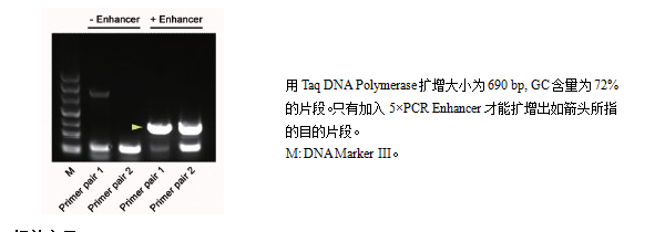 PCR增强剂(PCR Enhancer)