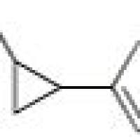 67074-44-6/	 2-苯基环丙甲醛,	97%