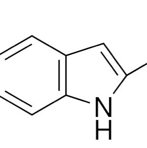 10241-97-1/5-甲基吲哚-2-羧酸