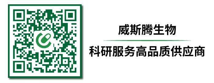直逼1折 | 威斯腾生物模式动物平台开学大促，名额有限，再不来就没啦！！