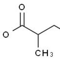 53399-81-8/2-甲基-4-烯酸乙酯
