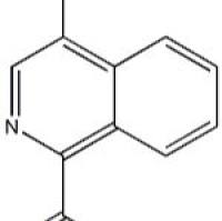 1179149-/25-74-溴异啉羧酸
