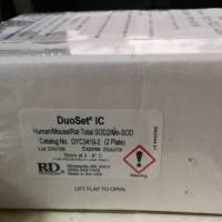 兔吡啶交联物 ( PY ) ELISA试剂盒