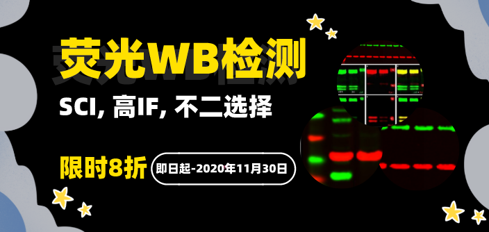 荧光Western Blot 检测服务特惠促销