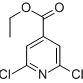 1604-14-4/2,6-二氯-异烟酸乙酯
