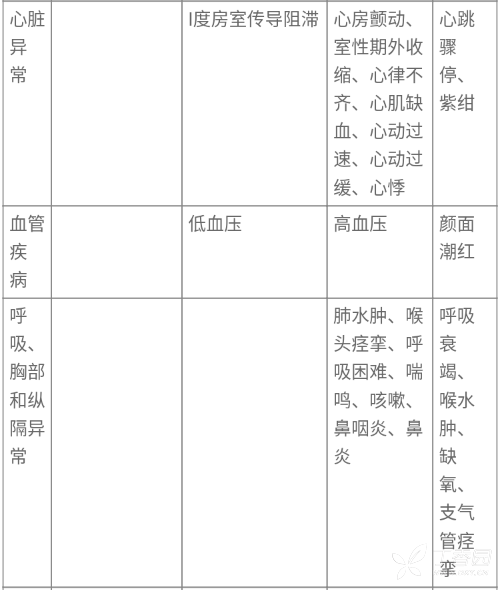 图片预览