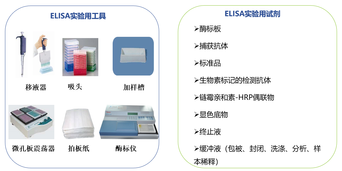 ELISA通关必备