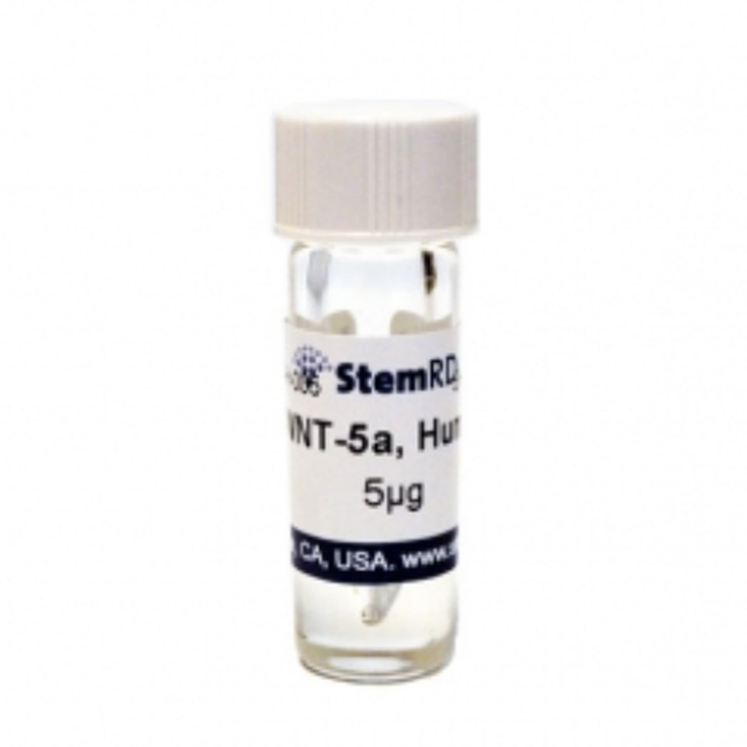 StemRD W5a-H-025 WNT- 5a, human recombinant，人WNT-5a蛋白