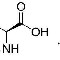 158663-69-5/	 (S)-哌嗪-2-羧酸二盐酸,98%
