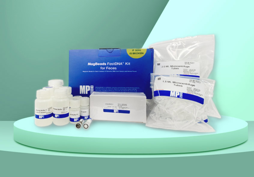 说说粪便 DNA 提取在结直肠癌研究中的应用