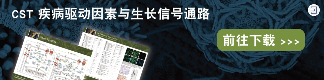 中国Hippo协同创新团队，十年凝聚，齐心协力发原力