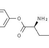 16010-98-3/ L-亮氨酸-4-基苯盐酸盐, 98%