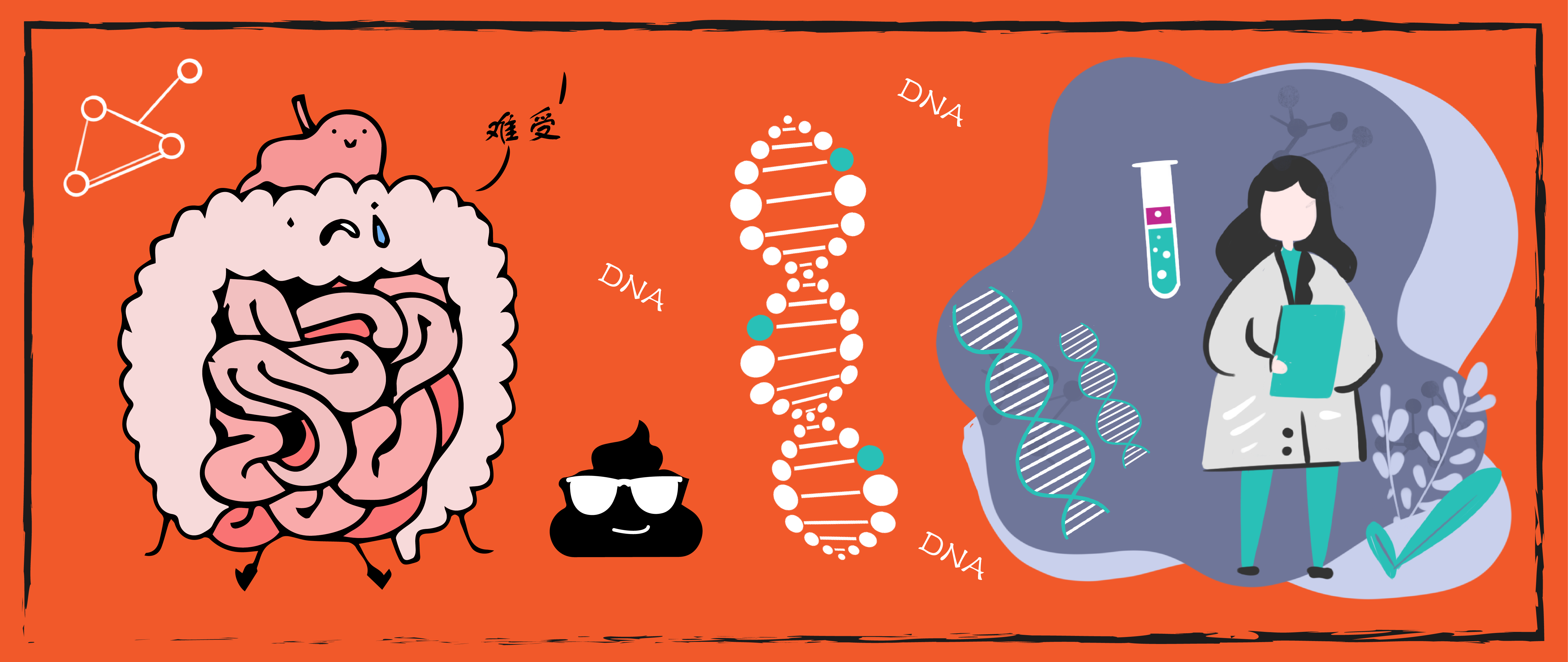 说说粪便 DNA 提取在结直肠癌研究中的应用