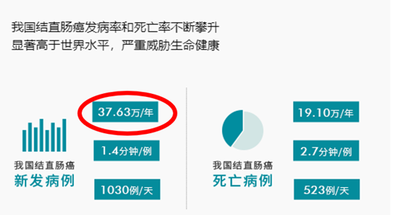 说说粪便 DNA 提取在结直肠癌研究中的应用