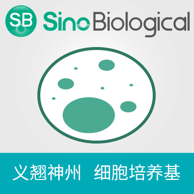 SMS CHO-SUPI 培养基添加液