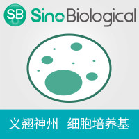 SMM 293-TII无血清培养基-即用型完全培养基、细胞培养基