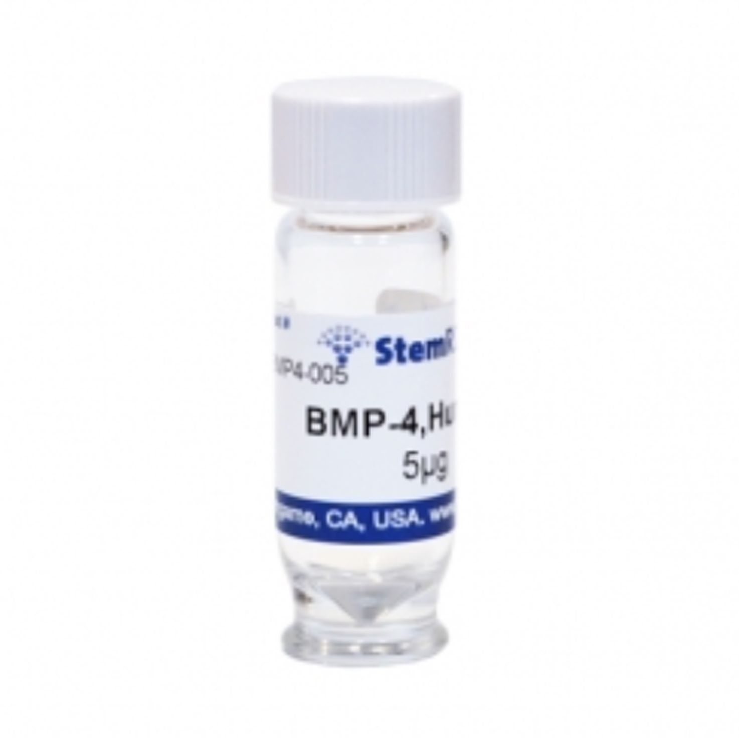 StemRD BMP4-005 bone morphogenetic protein 4, BMP4人骨形态发生蛋白4