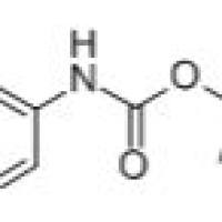 154048-89-2/ (4-IODO-PYRIDIN-3-YL)-CARBAMIC ACID TERT-BUTYL ESTER , 98%