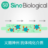 蛋白A凝胶