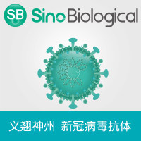 新型冠状病毒 SARS-COV-2 S蛋白(S1+S2 ECD, His tag)