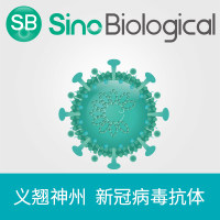 新冠病毒 SARS-COV-2 S蛋白 (RBD, rabbitFc Tag)