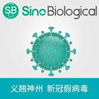 SARS-CoV-2 Spike假病毒|新冠病毒 2019-nCoV 假病毒