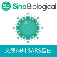 人冠状病毒 HCoV-OC43 Spike Protein (S1+S2 ECD, His Tag)