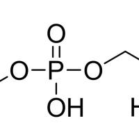 158171-14-3.	 N-芴甲氧羰基-O-(苄基磷酰基)-L-丝氨酸 ,≥97.0% (HPLC)