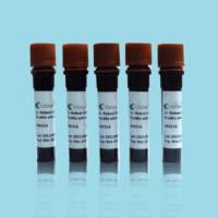 辣根过氧化物酶标记生物素