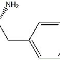122332-24-5/	 (R)-2-氨基-3-(4-溴苯基)酸 甲酯.≥98%