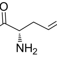 16338-48-0/	 (S)-(-)-2-氨基-4-烯酸,	98%