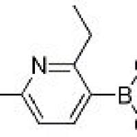 848360-8/7-22-乙基-6-甲氧基吡啶-3-硼酸