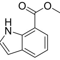 93247-78-0/	 吲哚-7-甲酸甲酯,	97%