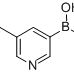 919347-69-6/5-醛基吡啶-3-硼酸