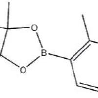 1171891-31-8/	 4-甲吡啶-3-硼酸频哪醇酯 ,98%