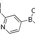 1220220-21-2/ 2-乙酰氨基吡啶-4-硼酸频那醇酯 ,98%