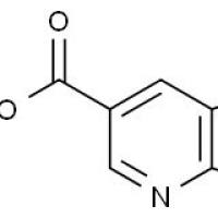 1015609-11-6/4-氮杂-吲哚-6-羧酸甲酯