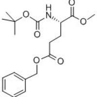 59279-58-2/	 BOC-L-GLUTAMIC ACID Γ-BENZYL Α-METHYL ESTER ,	95%